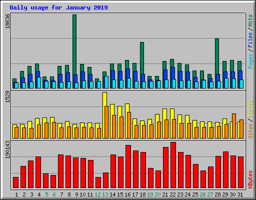 Daily usage for January 2019