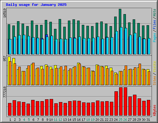 Daily usage for January 2025