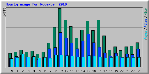 Hourly usage for November 2018