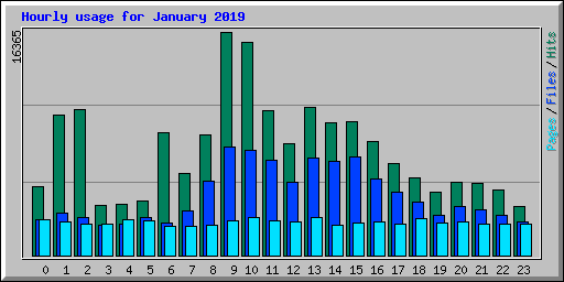 Hourly usage for January 2019