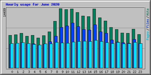 Hourly usage for June 2020