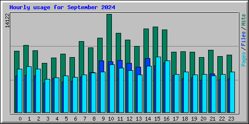 Hourly usage for September 2024