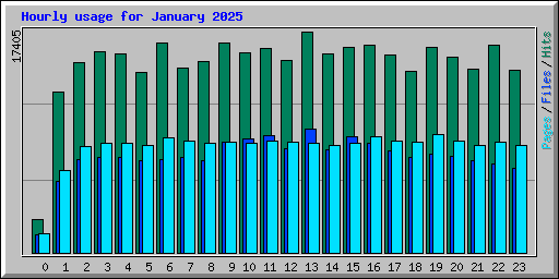 Hourly usage for January 2025