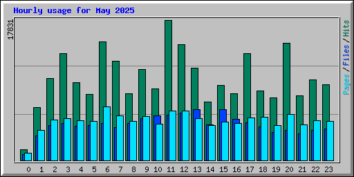 Hourly usage for May 2025