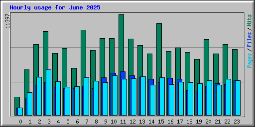 Hourly usage for June 2025