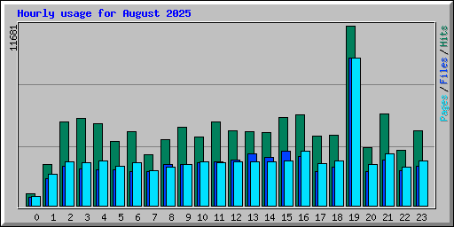 Hourly usage for August 2025