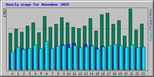 Hourly usage for November 2025