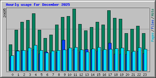 Hourly usage for December 2025