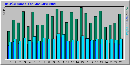 Hourly usage for January 2026